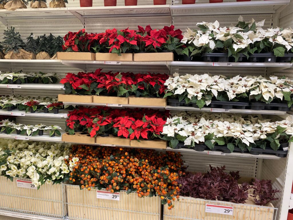 Blommor & växter för julen - Ullared Blogg
